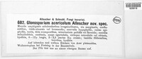 Gloeosporidium acericola image